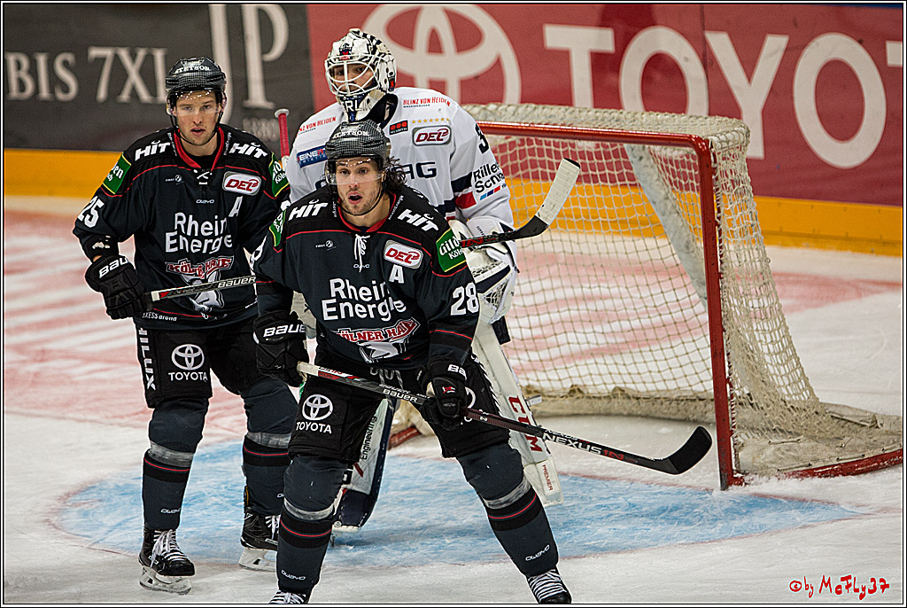 Koelner Haie - Eisbaeren Berlin, 13.11.2016